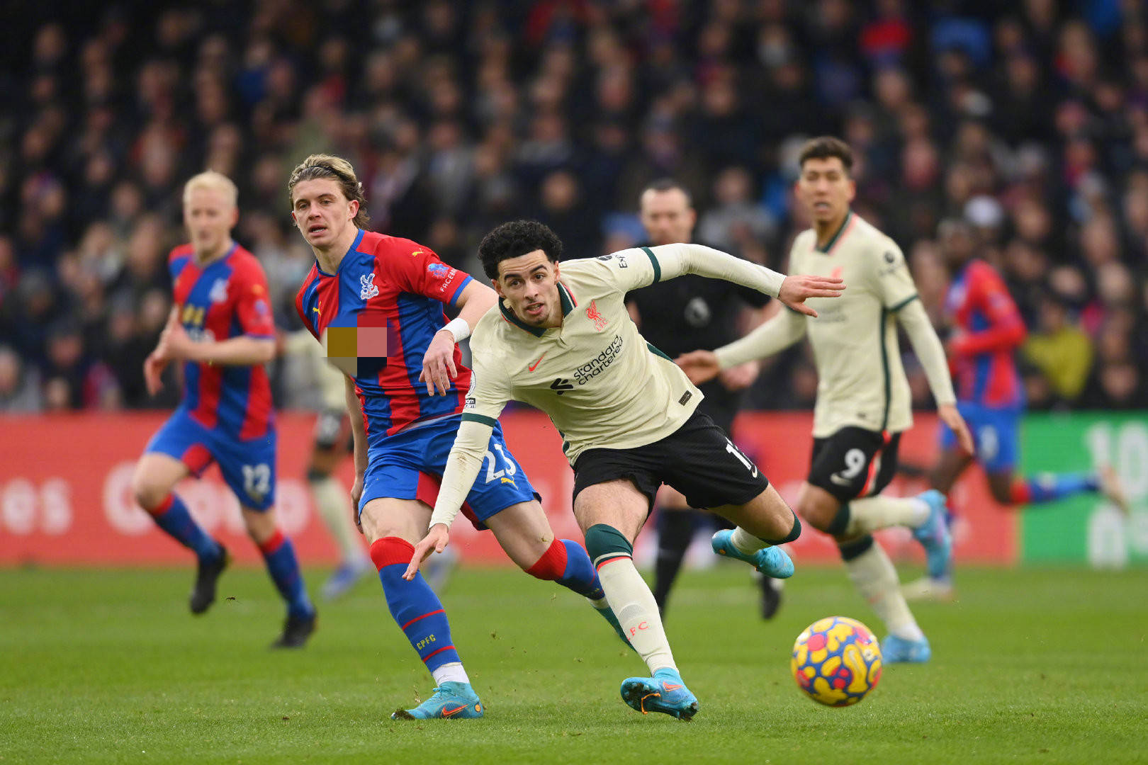 也可能在即 也可能在即